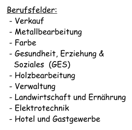 Berufsfelder:  - Verkauf  - Metallbearbeitung  - Farbe  - Gesundheit, Erziehung &   Soziales  (GES)  - Holzbearbeitung  - Verwaltung  - Landwirtschaft und Ernährung  - Elektrotechnik  - Hotel und Gastgewerbe