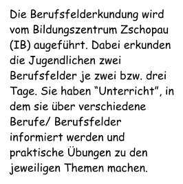 Die Berufsfelderkundung wird vom Bildungszentrum Zschopau (IB) augeführt. Dabei erkunden die Jugendlichen zwei Berufsfelder je zwei bzw. drei Tage. Sie haben “Unterricht”, in dem sie über verschiedene Berufe/ Berufsfelder informiert werden und praktische Übungen zu den jeweiligen Themen machen.