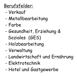 Berufsfelder:  - Verkauf  - Metallbearbeitung  - Farbe  - Gesundheit, Erziehung &   Soziales  (GES)  - Holzbearbeitung  - Verwaltung  - Landwirtschaft und Ernährung  - Elektrotechnik  - Hotel und Gastgewerbe