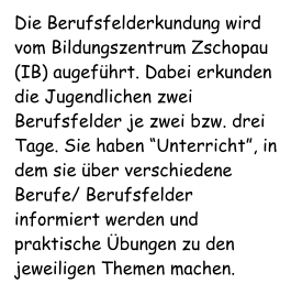 Die Berufsfelderkundung wird vom Bildungszentrum Zschopau (IB) augeführt. Dabei erkunden die Jugendlichen zwei Berufsfelder je zwei bzw. drei Tage. Sie haben “Unterricht”, in dem sie über verschiedene Berufe/ Berufsfelder informiert werden und praktische Übungen zu den jeweiligen Themen machen.