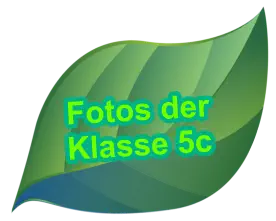 Fotos der Klasse 5c