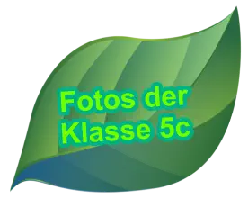Fotos der Klasse 5c
