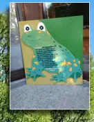 Sauwaldfrosch "Fridolin"