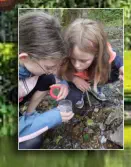 Smilla und Emmi haben eine Köcherfliegenlarve in ihrer Becherlupe gefangen