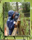 Sara und Lana auf Entdeckungspirsch am Teich
