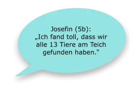 Josefin (5b):  „Ich fand toll, dass wir alle 13 Tiere am Teich gefunden haben.“