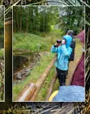 Sara und Lana auf Entdeckungspirsch am Teich