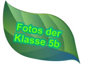 Fotos der Klasse 5b