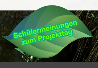 Schülermeinungen zum Projekttag
