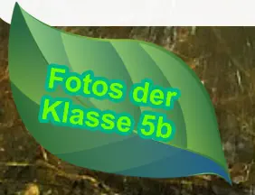 Fotos der Klasse 5b