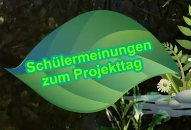 Schülermeinungen zum Projekttag