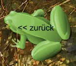 << zurück