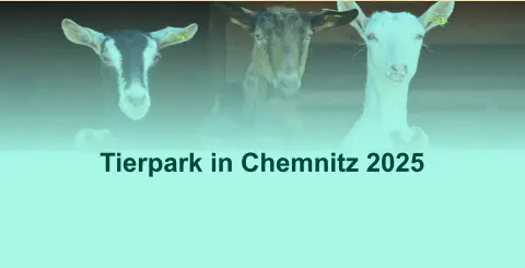 Tierpark in Chemnitz 2025