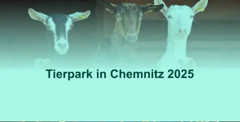 Tierpark in Chemnitz 2025